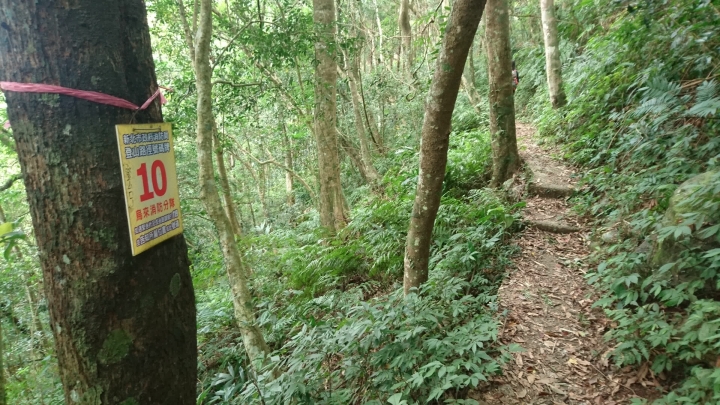 [樂山童盟] [新北烏來] 拔刀爾山步道（保慶宮-拔刀爾山-高腰山-美鹿山)