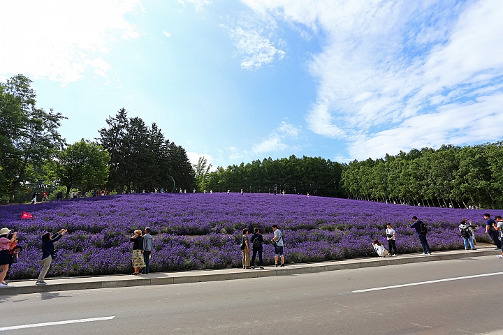[6D+Osmo Pocket] 夏日北海道自由行Part 3--富良野 田園咖哩飯/富田農場/哈密瓜工房/KUMAGERA
