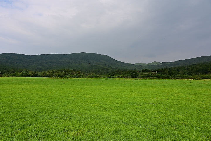 點我看大圖 Z7國慶鳥灰面鷲10月9日開始大量過境滿洲鄉里德村