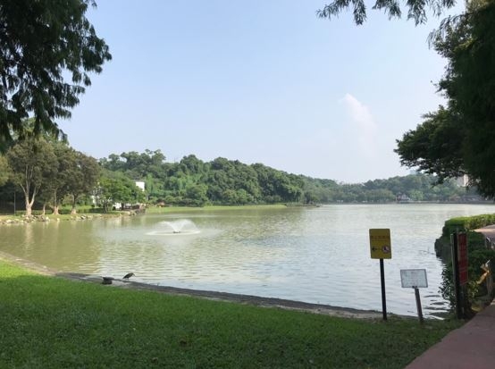 內湖建案醍湖賞屋心得