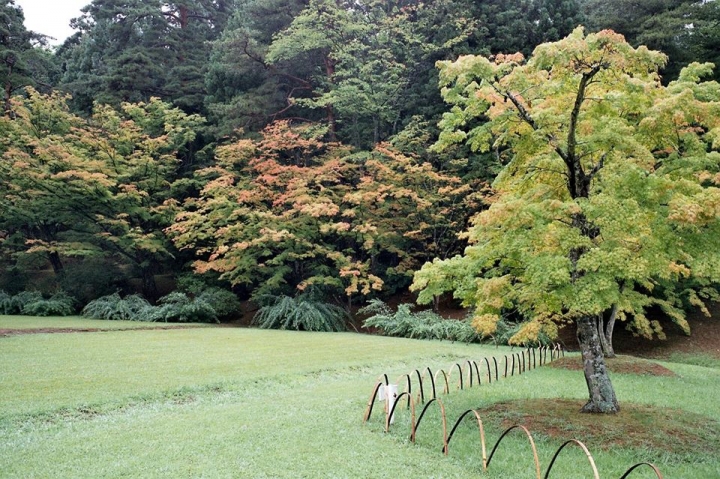Ricoh GR1 起樓了..