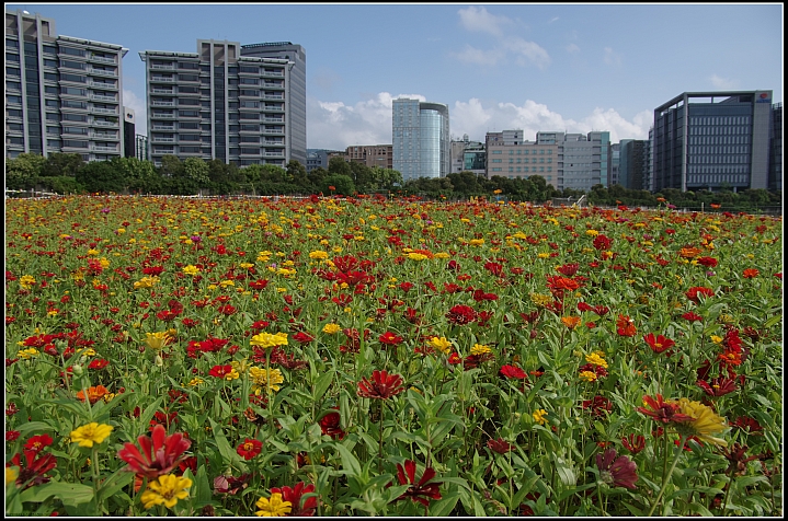 美堤河濱公園