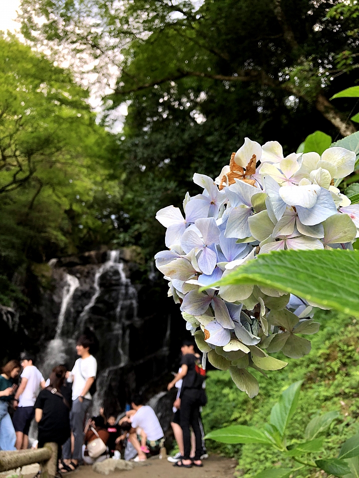 點我看大圖 九州行D2 老爸的兩天右駕體驗 是海邊!!!-----絲島市一日遊 feat. 手機&EOSM(下)