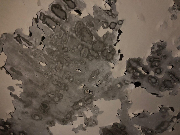 老屋修繕含頂樓 請益