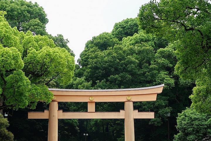 G7X2 東京都 + 近郊景點小旅行