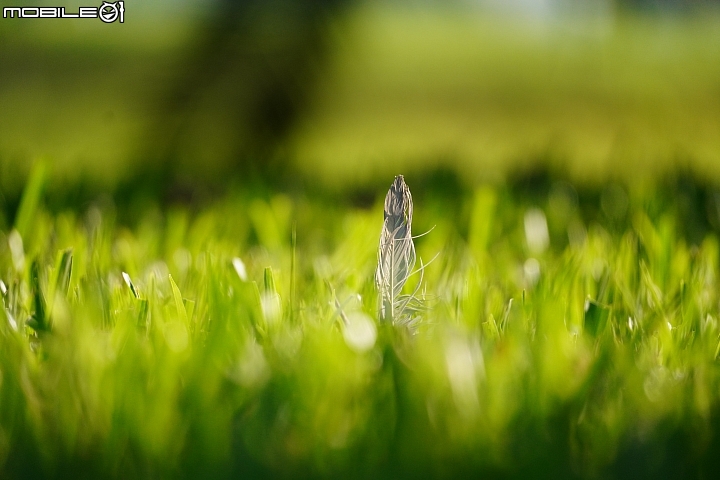 續航力才是王道! Sony A6600 APS-C 真旗艦 同場加映 70-350mm f/4.5-6.3G 評測