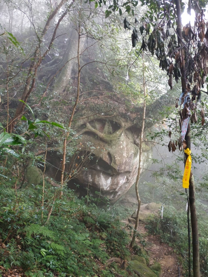 尖石鄉三大神木群步道，北得拉曼山