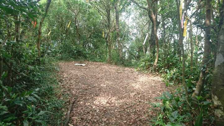 [樂山童盟] [新北烏來] 拔刀爾山步道（保慶宮-拔刀爾山-高腰山-美鹿山)