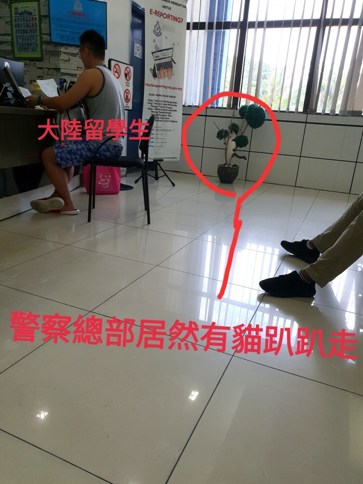 [遊記]馬來西亞護照遺失之沒錢沒身份 警局報案 搭警車初體驗