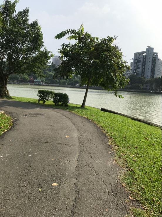 內湖建案醍湖賞屋心得