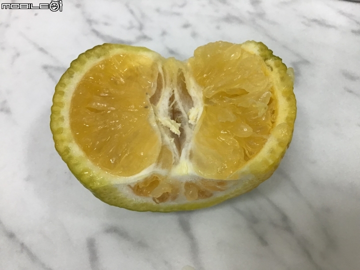 請問這是檸檬嗎？葉子與果肉都是檸檬味，但外表不像