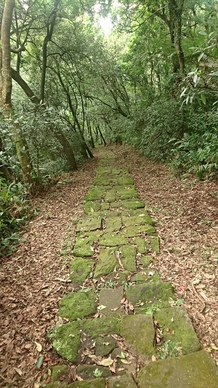 [樂山童盟] [台北北投] 紗帽山步道（橫嶺古道->公車總站->紗帽山）