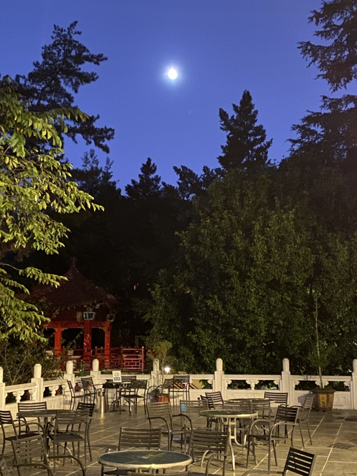 Iphone 11 pro Max 星空拍照測試