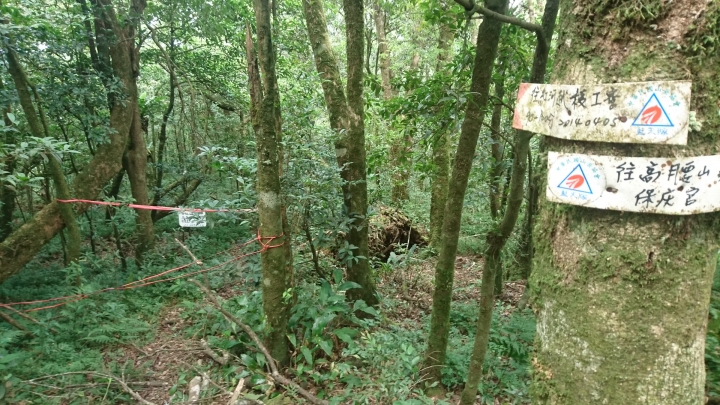 [樂山童盟] [新北烏來] 拔刀爾山步道（保慶宮-拔刀爾山-高腰山-美鹿山)