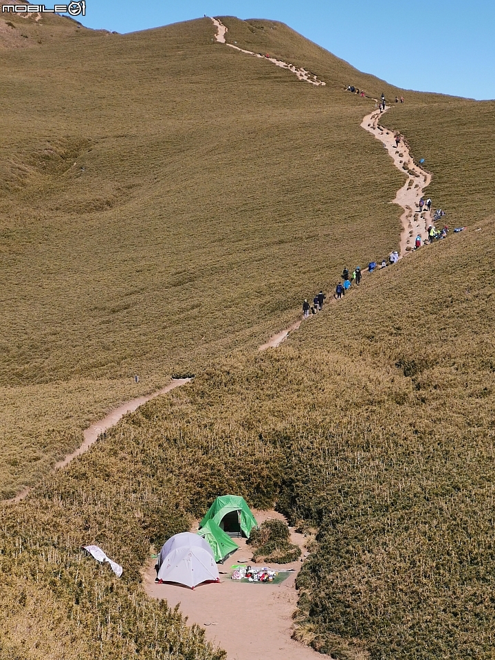合歡山小溪營地初體驗