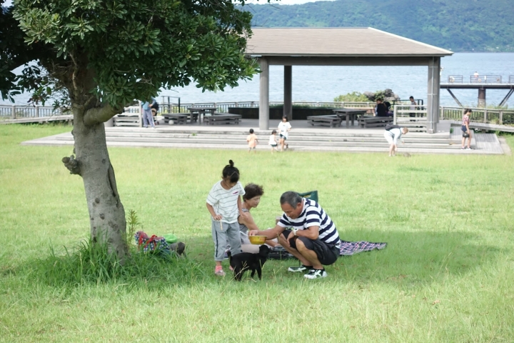 【鹿兒島遊記】櫻島火山行程全攻略