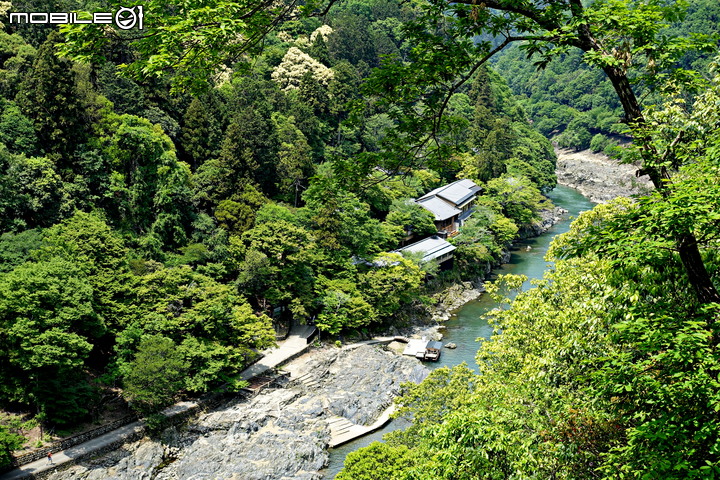 點我看大圖 京都嵐山公園