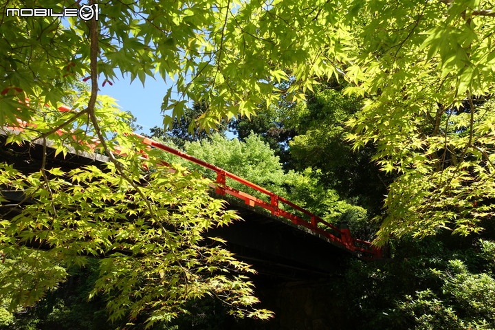 宮島就是要上弥山(彌山)