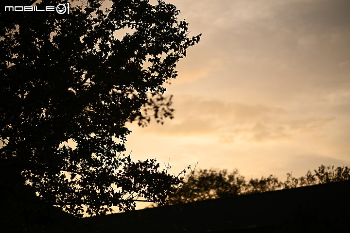 登上畫質頂峰!Nikon 58mm f/0.95 S Noct - 我們見過有史以來最銳利的超大光圈鏡頭