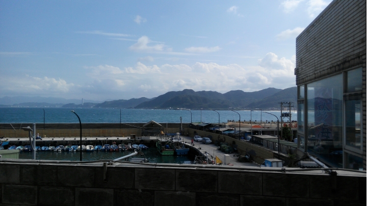苗栗到台北龜吼魚港秋蟹之旅