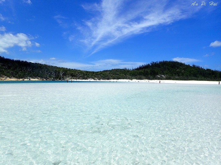 【Airlie Beach 艾爾利海灘】紫色夢幻帆船Camira party boat～白到一定要戴墨鏡的Whitehaven Beach～要看大堡礁請去Cairns不要來Whitsunday你會失望