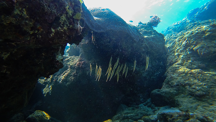 191110 上周末的小琉球潛水記錄.....