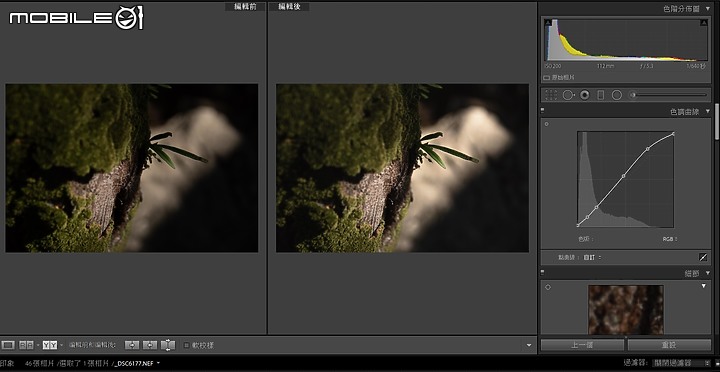 點我看大圖 「D750」悟禪,森石印象
