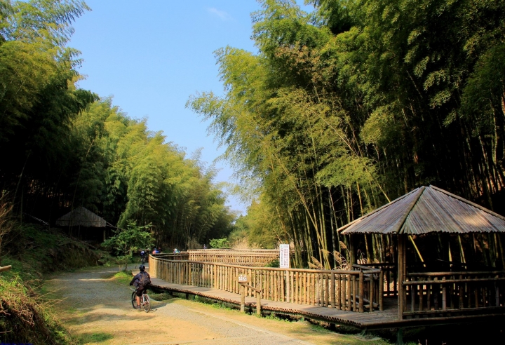 木馬古道風雲【策馬入林、東斜西堵、上塌下突、十面埋伏之竹林陣】