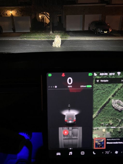 《Autopilot》認得出狗 (v2019.36)