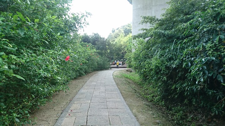 [樂山童盟] [新北石碇] 外按古道[淡蘭古道石碇段]（雙溪口-石碇老街）~~輕鬆好行~~
