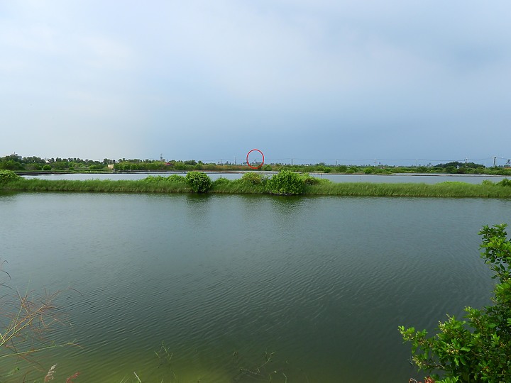 點我看大圖 Z50+600mm+1.4X遠距拍魚鷹,動態區域AF跟得上,但需高速記憶卡。