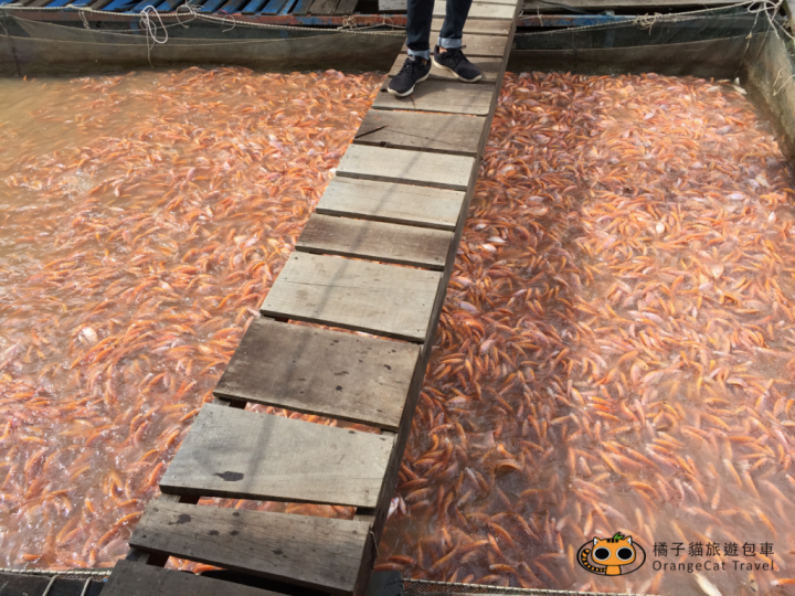 越南胡志明湄公河一日遊體驗