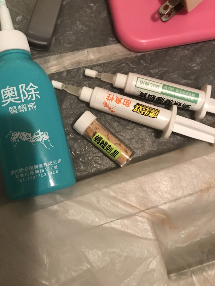 螞蟻