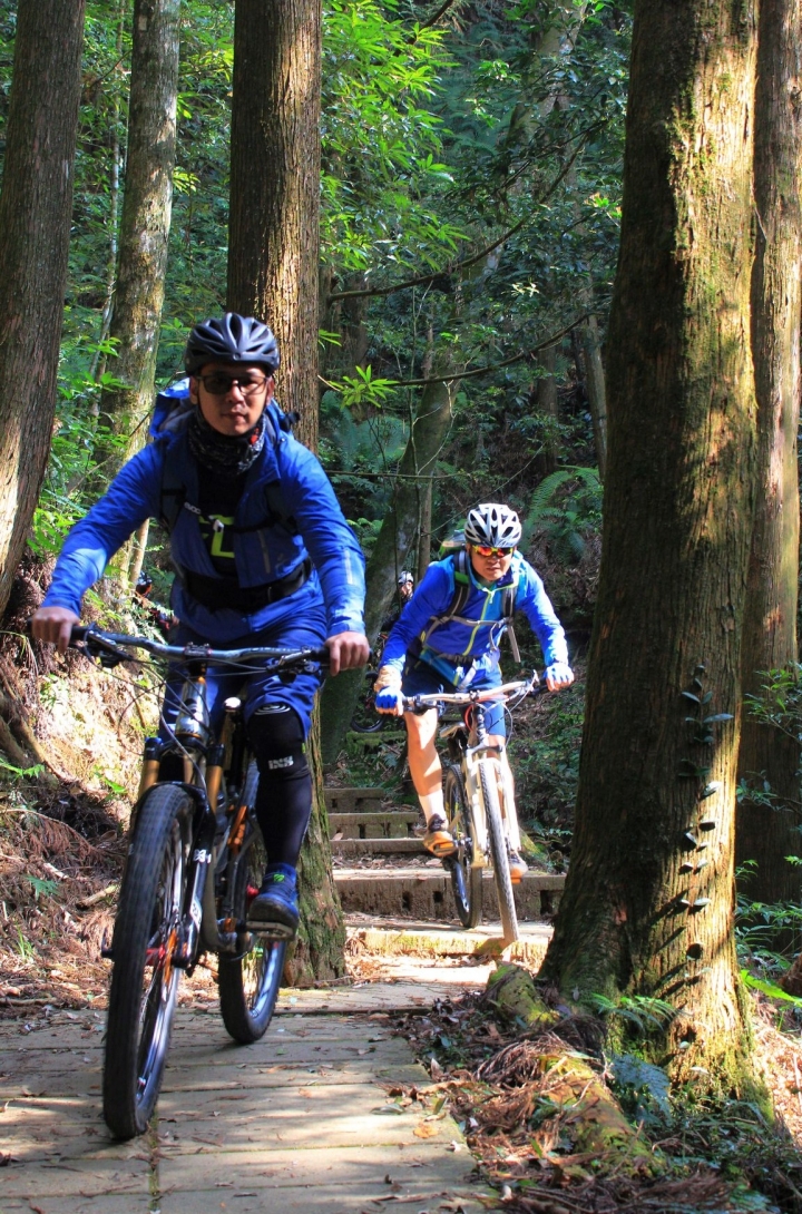 木馬古道風雲【策馬入林、東斜西堵、上塌下突、十面埋伏之竹林陣】