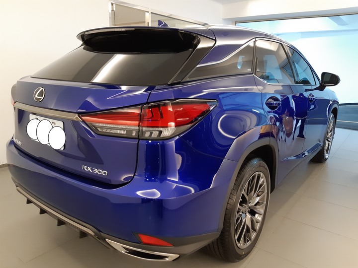 LEXUS-RX300 F sport 極燄藍