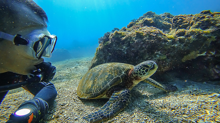 191110 上周末的小琉球潛水記錄.....