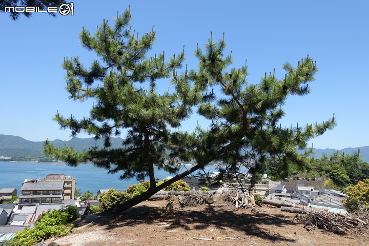 宮島就是要上弥山(彌山)