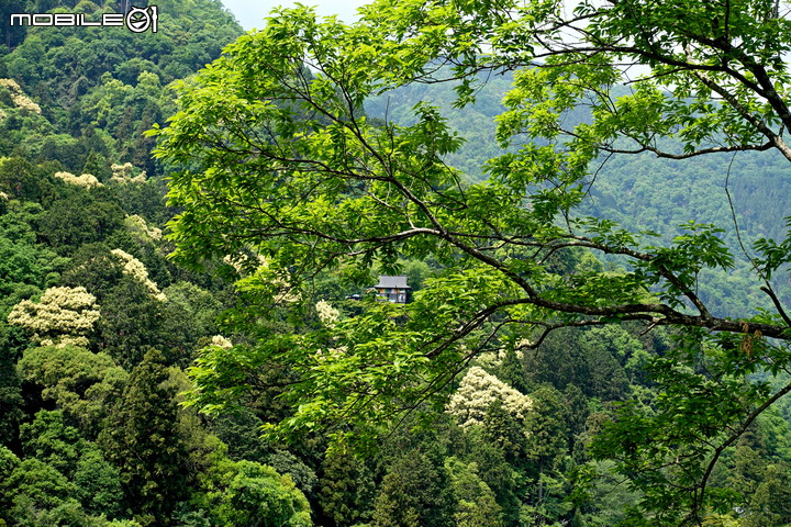 點我看大圖 京都嵐山公園