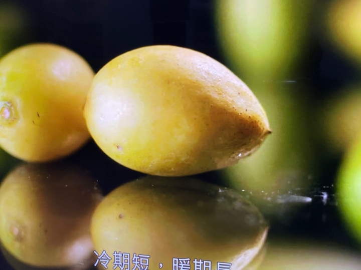 開箱 高CP電視55UM7600
