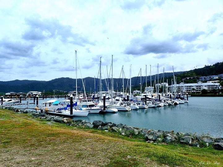 【Airlie Beach 艾爾利海灘】Lagoon~Cafe one 3吃早餐~Fish D\x27vine大啖海鮮~賽馬賽狗不稀奇,賽蟾蜍見過沒?