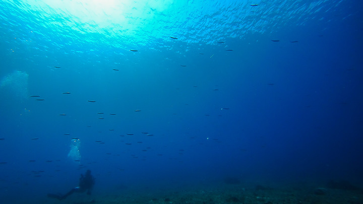 191110 上周末的小琉球潛水記錄.....