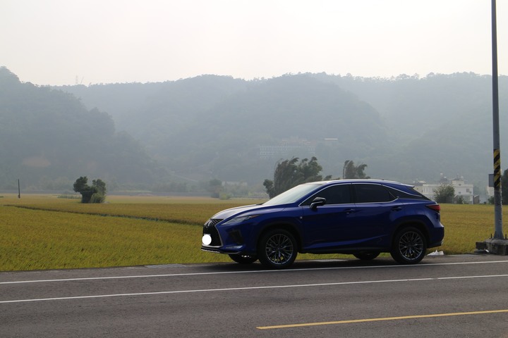 LEXUS-RX300 F sport 極燄藍