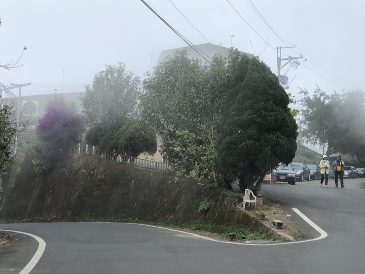 鹿谷大崙山觀景區散步遊