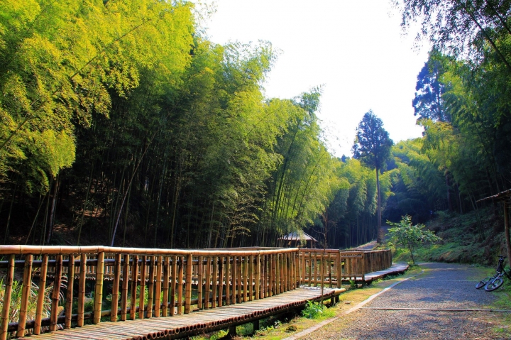 木馬古道風雲【策馬入林、東斜西堵、上塌下突、十面埋伏之竹林陣】