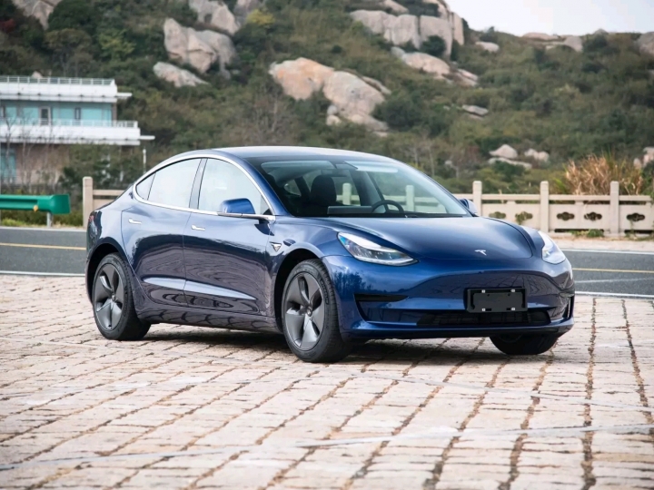 大陸國產Model 3,直接把“特斯拉”三字寫在車尾