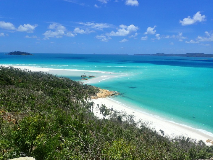 【Airlie Beach 艾爾利海灘】紫色夢幻帆船Camira party boat～白到一定要戴墨鏡的Whitehaven Beach～要看大堡礁請去Cairns不要來Whitsunday你會失望