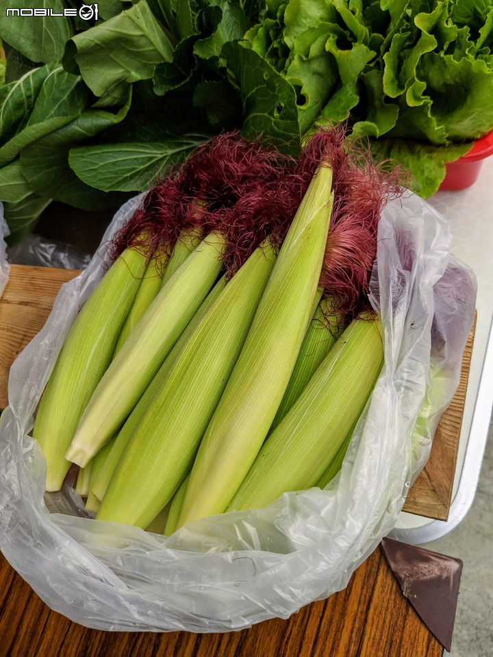 善化胡麻節+紫鈴藤 台南市善化區農會 11/16