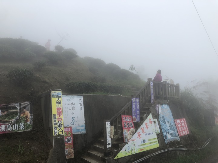 鹿谷大崙山觀景區散步遊