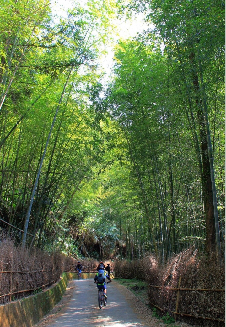 木馬古道風雲【策馬入林、東斜西堵、上塌下突、十面埋伏之竹林陣】