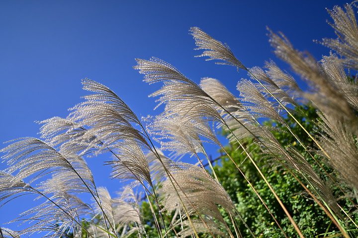 Nikon Z 24mm f/1.8 S 評測報告|體驗廣角大光圈的美好!